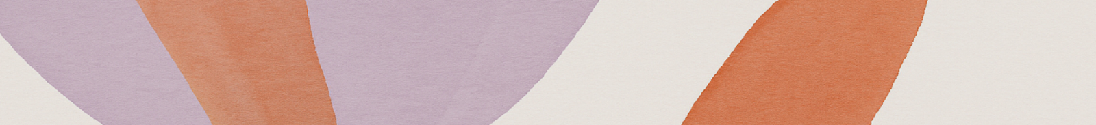 DALILA CANARIO Image & Education Expert Header